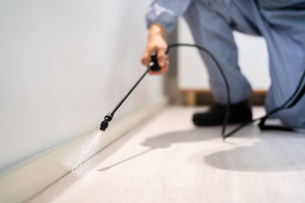 Licensed Mosquito Control service in South Windham, CT - Show Me Pest Control