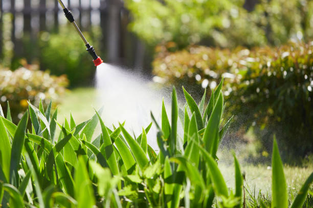24/7 Emergency Mosquito Control experts in South Windham, CT