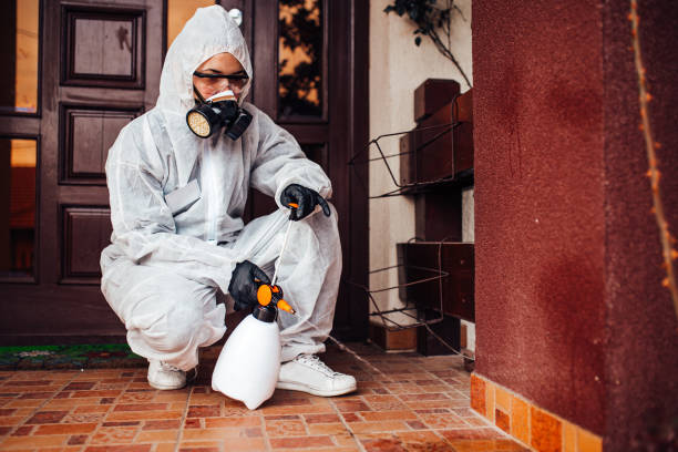 Reliable Mosquito Control contractor in South Windham, CT by Show Me Pest Control